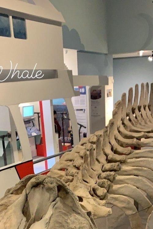 Museum of Natural History
